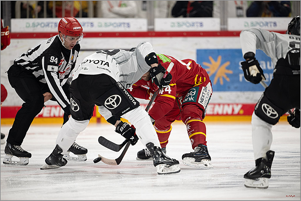 PENNY DEL 1; Düsseldorfer EG - Kölner Haie; Düsseldorf, 24.01.2025